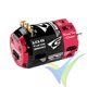Motor brushless inrunner Team Corally Dynospeed SPEC 3.0 1/10 Sensored Competition, 166g, 700W, 3600Kv