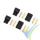 Conector TRX, metalizado oro, G-Force, macho y hembra, 2 pares