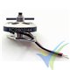 Motor brushless XPower XC2802/44 Nicolas Pietu feather 