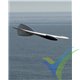 Kit velero Dream-Flight Alula-Trek, 900mm, 156-184g