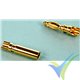 Conector banana 2mm corto, metalizado oro, 2 parejas macho y hembra