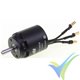 Motor brushless Dualsky XM3040EG-7 Glider, 104g, 376W, 1850Kv