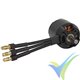 Motor brushless Spitz 2834-10, 67g, 340W, 880Kv