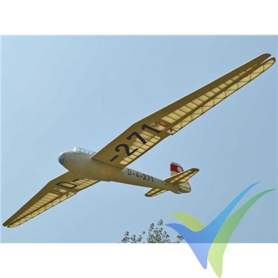 Kit construcción Pichler Kranich, 1498mm, 230-250g