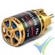 Motor brushless AXI 2217/16 V2 Long F5J, 84g, 245W, 1050Kv