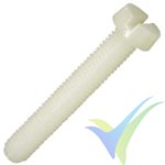 Nylon screw slotted cylindrical head DIN-84